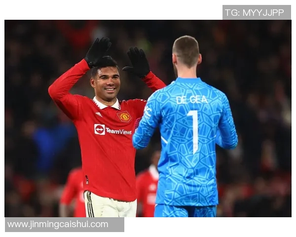 足总杯精彩对决曼联迎战热刺直播全程回顾与分析