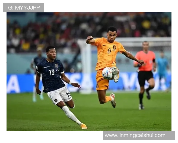 加克波：从新星崛起到足球场上的闪耀之星的成长之路