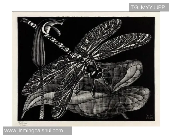 加莱诺的艺术世界探索与创作灵感的深度解析与分享