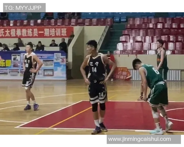 曾凡博：从青年才俊到篮球赛场的璀璨新星之路